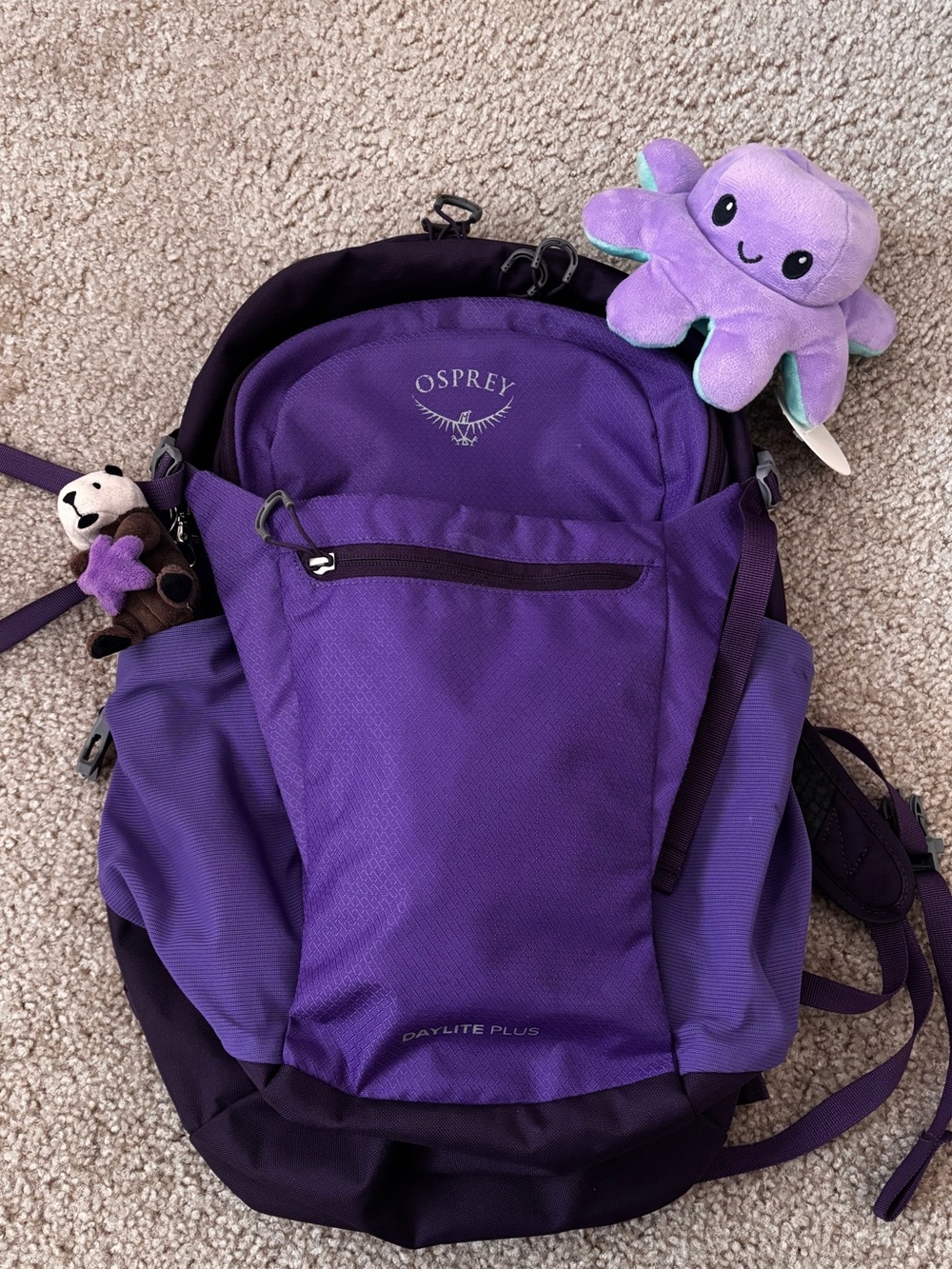 OSPREY Purple Daylite Plus Backpack